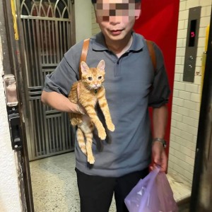 博主发现猫逃家立刻去追，抓到猫后才发现自己没穿裤子…咪：这不是变态吗