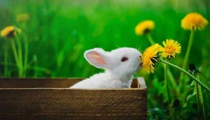 欧冠官网app下载-米兰冬奥会举办地巡礼